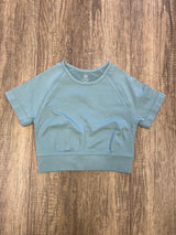 Seamless short sleeve cropped top-mint